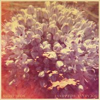 How Did You Get So Far Away? - Night Beds