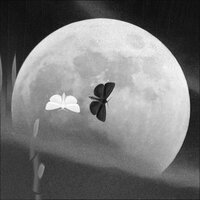 Before I Forget - Public Memory