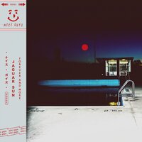 Forever and More - Jaguar Sun