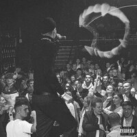 Палят - LOVELLACE