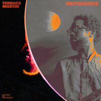 Trail Mix - Terrace Martin, Buddy, Rose Gold