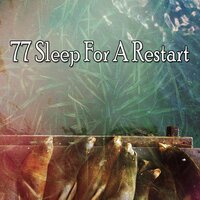 Fantasy of Sleep - White Noise for Babies