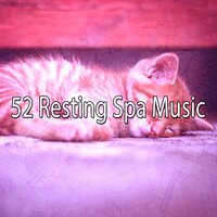 Fields of Harmony - Relaxing Music Therapy