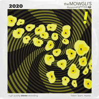 Wasting Time - The Mowgli's