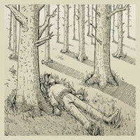 Into the Wild - Team Me