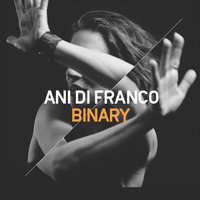 Zizzing - Ani DiFranco, Justin Vernon