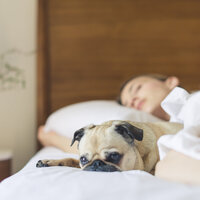 Interconnected - Massage Therapy Music, Deep Sleep Music Experience, Massage Music