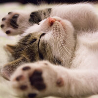 Lullaby - Rain for Deep Sleep, Deep Sleep Music Maestro, White Noise Meditation