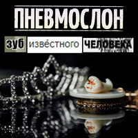 Гараж - Пневмослон