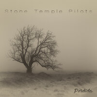 You Found Yourself While Losing Your Heart - Stone Temple Pilots