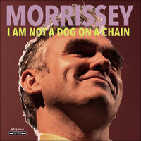 Darling, I Hug a Pillow - Morrissey