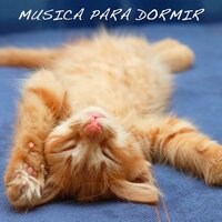Solo Piano (Música Romántica) - Meditation Relaxation Club