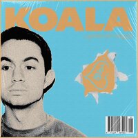 Koala - Grady