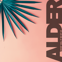 What Will It Be of Us - Alder, Le June