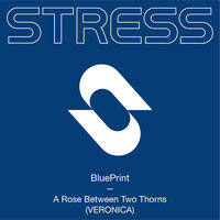 Blueprint