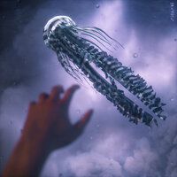 Strider - MEMBA