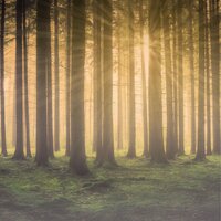 Keeping It Calm - Rain for Deep Sleep, Calming Music Academy, Relajante