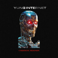 Probleem 2 - Yung Internet