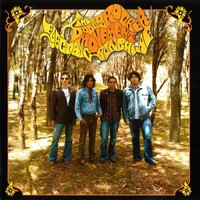 Walk In the Light - The Dolly Rocker Movement