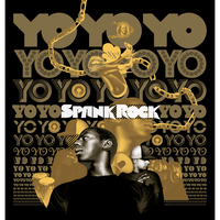 What It Look Like - Spank Rock