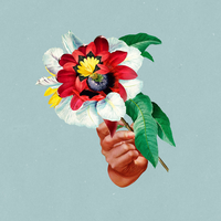 Slow Heat - Maribou State, Holly Walker