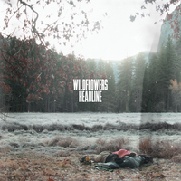 All Those Things We Did Back Then - Wildflowers