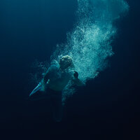 Womxn - Lapsley