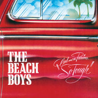 He Come Down - The Beach Boys