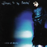 Nothing Stays Forever - Whispers In The Shadow
