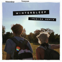Wintersleep - Tennyson, Imagiro