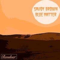 Don't Turn Me from Your Door - Savoy Brown