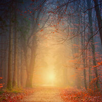 Gentle Sleep Music - Exam Study Classical Music Orchestra, Sound Sleeping, The Relaxation Principle