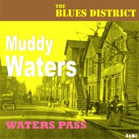 Train Fare Home Blues - Muddy Waters