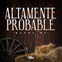 Altamente Probable - Banda Sinaloense MS de Sergio Lizárraga