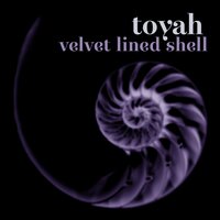 You're a Miracle - Toyah