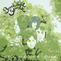 Beachwood Sparks