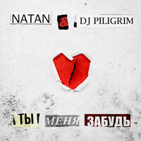 Ты меня забудь - Natan, DJ Piligrim