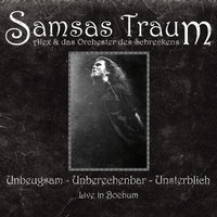 All die toten Spiegel - Samsas Traum