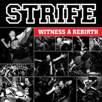 Carry the Torch - Strife