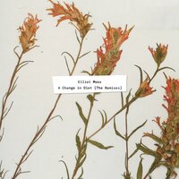 Rabbit Roads - Brika, Elliot Moss