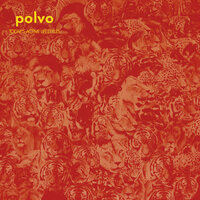 Polvo
