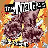 Zemsta - The Analogs