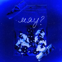 Кто сказал «мяу»? - GSPD