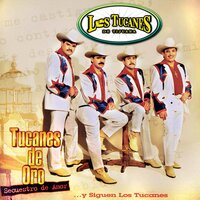 Pensé Pegarme Un Tiro - Los Tucanes De Tijuana