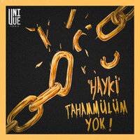 Tahammülüm yok - GOKO!, Hayki