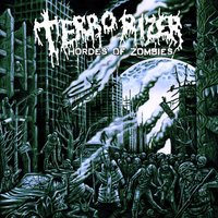 Ignorance and Apathy - Terrorizer