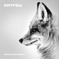Хитрец - Чёрная экономика