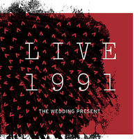 Go Go Dancer - The Wedding Present