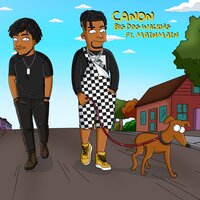 Big Dog Walking - CANON, MainMain