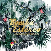 Caribbean Power - Bomba Estéreo